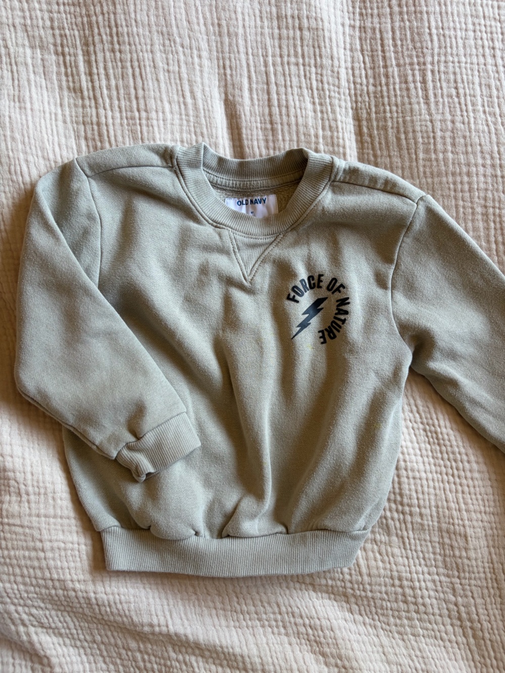 Old Navy Toddler Sage Crewneck Sweatshirt - 'Force of Nature' Graphic